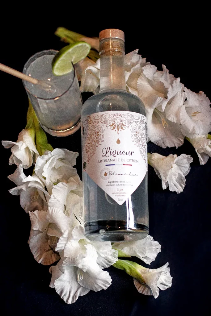 Citronnade de l'Aubrac par les Potions d'Oc